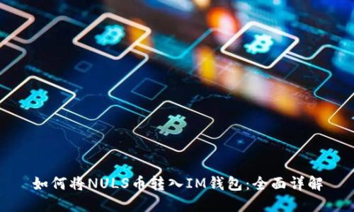 如何将NULS币转入IM钱包：全面详解