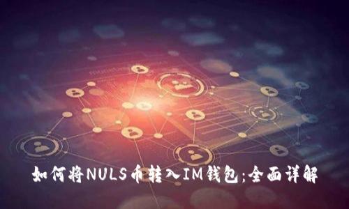 如何将NULS币转入IM钱包：全面详解