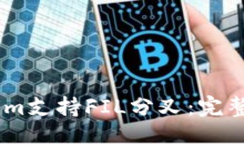 如何通过Token.im支持FIL分叉：完整指南与操作流程