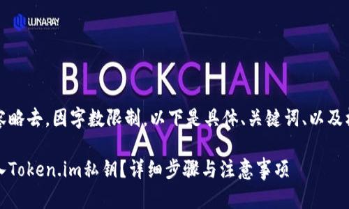 第一部分内容略去，因字数限制，以下是具体、关键词、以及核心内容框架

如何安全导入Token.im私钥？详细步骤与注意事项