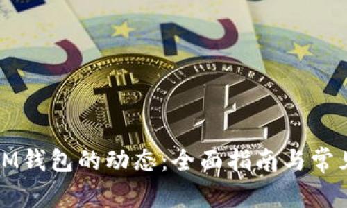 如何查看IM钱包的动态：全面指南与常见问题解答