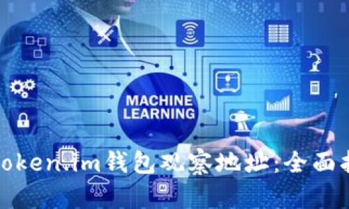 如何使用Token.im钱包观察地址：全面指南与技巧