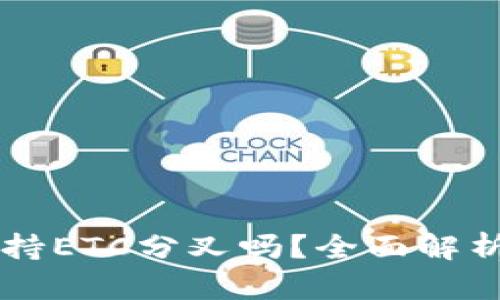 Token.im支持ETC分叉吗？全面解析及使用指南