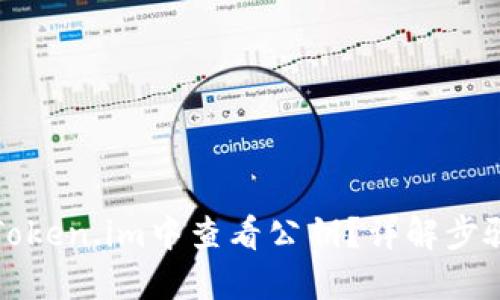 如何在Token.im中查看公钥？详解步骤与技巧