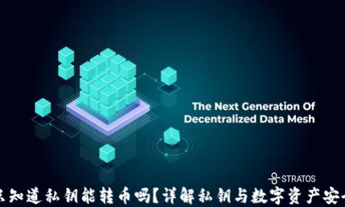 
只知道私钥能转币吗？详解私钥与数字资产安全