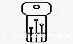 波比币最新动态：投资者