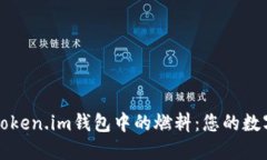 如何高效使用Token.im钱包中