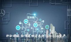 神秘之旅：如何追回遗失