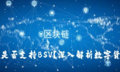 Token.im钱包是否支持BSV？深