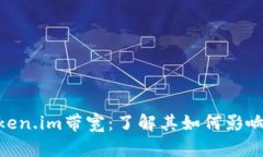 : 深入解析Token.im带宽：了